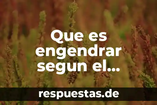 ¿Qué es la socioafectivo concepto? 8 Que es engendrar segun el diccionario