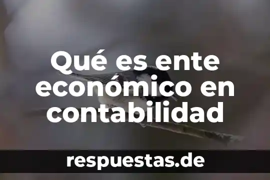 Agorapulse que es 8 Qué es ente económico en contabilidad