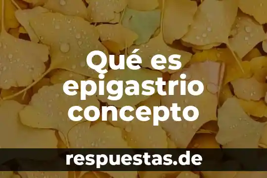 Que es concepto linguistico 8 Qué es epigastrio concepto
