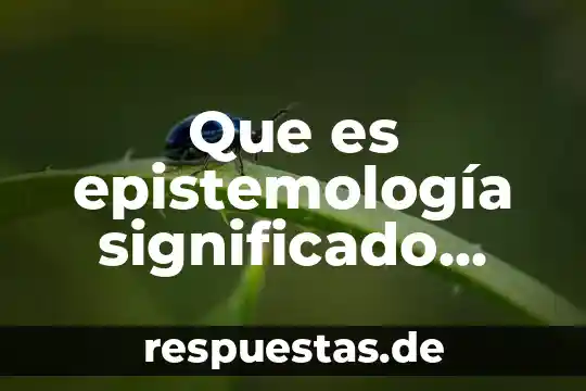 Fecundación significado etimológico y que es 4 Que es epistemología significado etimológico