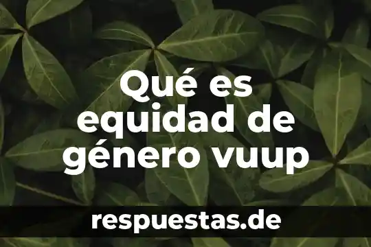 Qué es equidad de género vuup