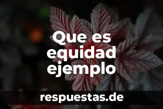 Que es equidad ejemplo
