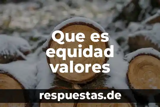 Que es equidad valores