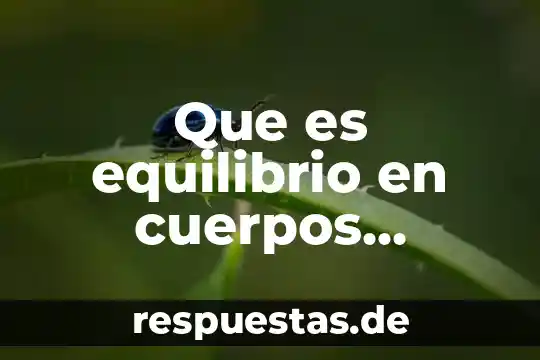 Que es la ilusion del movimiento en el cine 8 Que es equilibrio en cuerpos solidos