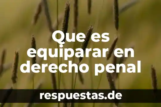 Qué es derecho procesal penal en México 8 Que es equiparar en derecho penal
