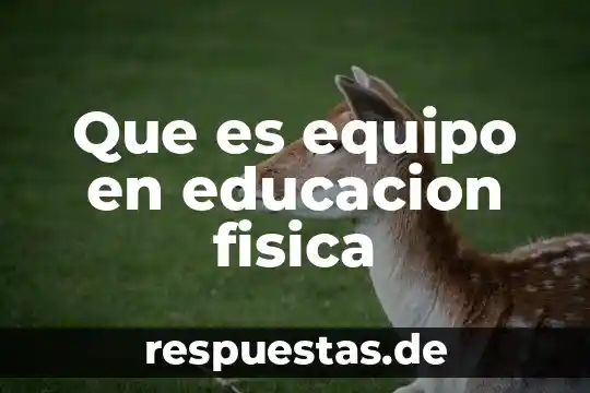 Que es una ley de fisica 3 Que es equipo en educacion fisica
