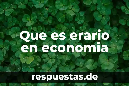 Que es un largo en la economia 6 Que es erario en economia