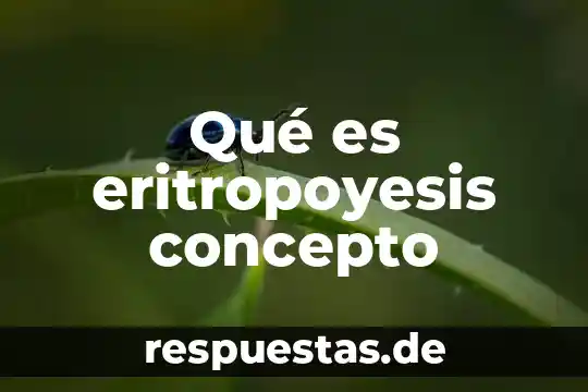 Que es concepto linguistico 7 Qué es eritropoyesis concepto