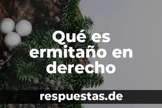 Que es la doctrina del derecho divino 5 Qué es ermitaño en derecho
