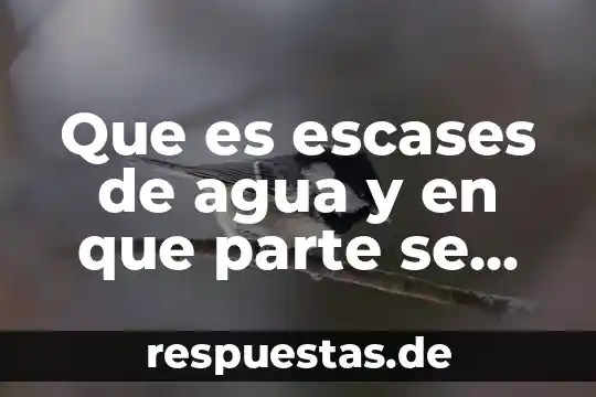Que es el dispersador de agua de un fefrigerado 6 Que es escases de agua y en que parte se presenta