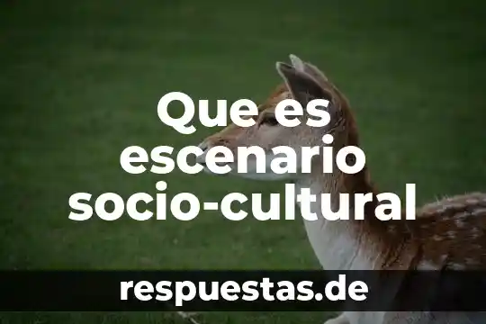 Qué es el color físicamente 3 Que es escenario socio-cultural