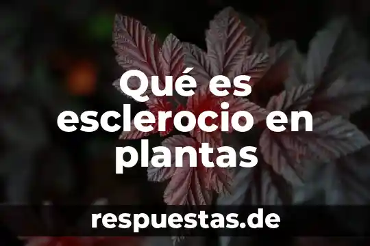 Nombres de plantas medicinales y que es lo que cura 4 Qué es esclerocio en plantas