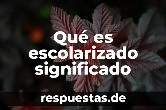 Que es granate significado 3 Qué es escolarizado significado