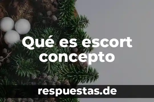 Concepto que es iva 5 Qué es escort concepto