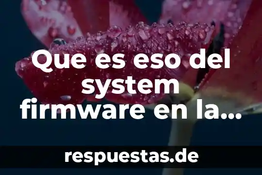 Qué es un icono en una computadora 5 Que es eso del system firmware en la computadora asus