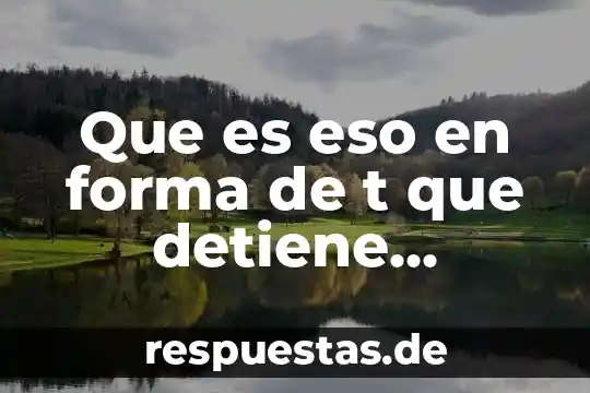 Que es t p educativo institucional 4 Que es eso en forma de t que detiene carpetas