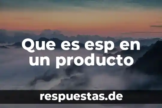 Que es el concepto inicial de un producto 8 Que es esp en un producto