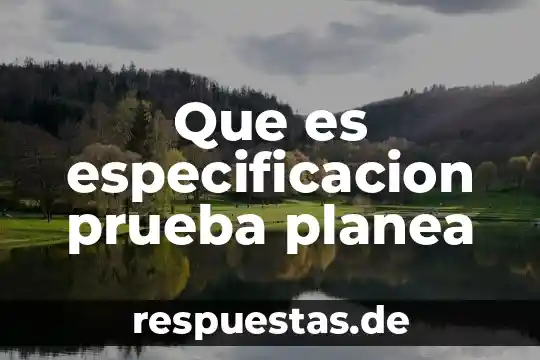 Que es especificacion prueba planea