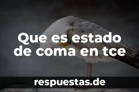 Diccionario de teoría del estado que es extranjeros 8 Que es estado de coma en tce