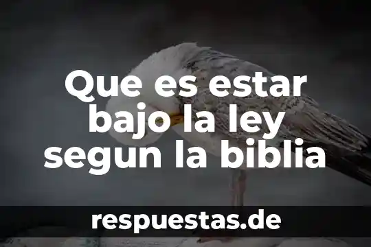 Que es estar bajo la ley segun la biblia