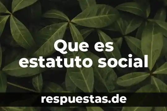 Que es estatuto social
