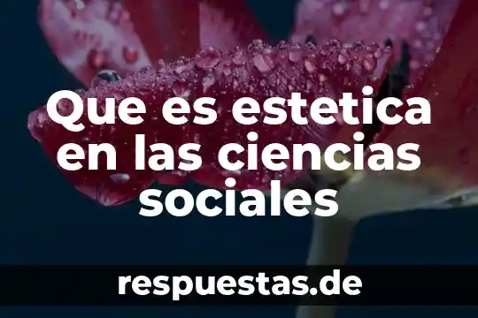 Qué es la estética en un proyecto 5 Que es estetica en las ciencias sociales