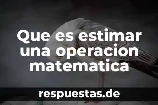 Que es una fncion matematica 5 Que es estimar una operacion matematica