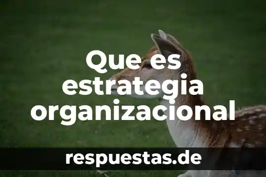 Qué es estrategia definición elaboral 7 Que es estrategia organizacional