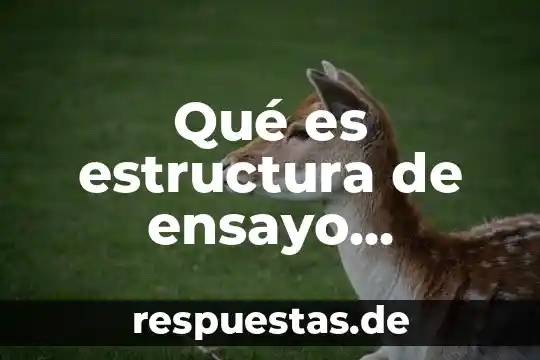 Qué es estructura de ensayo literario