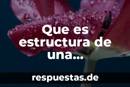 Qué es estructura en concepto de esem 8 Que es estructura de una presentacion multimedia