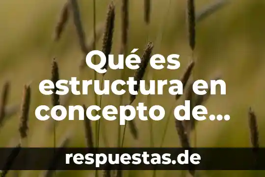 Que es una super estructura que es una infraestructura 3 Qué es estructura en concepto de esem