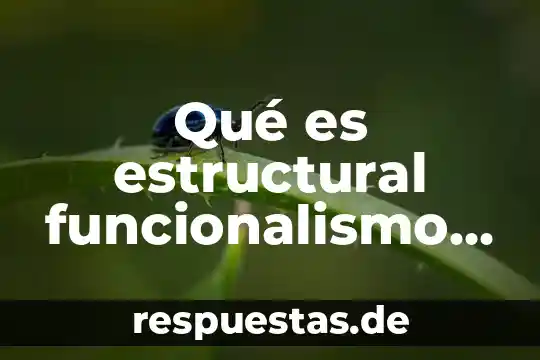 Que es el funcionalismo en filosofía 3 Qué es estructural funcionalismo y marxismo