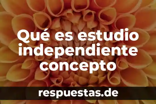 Que es un proyecto de vida independiente 7 Qué es estudio independiente concepto