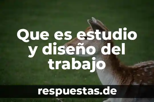 Que es estudio y diseño del trabajo