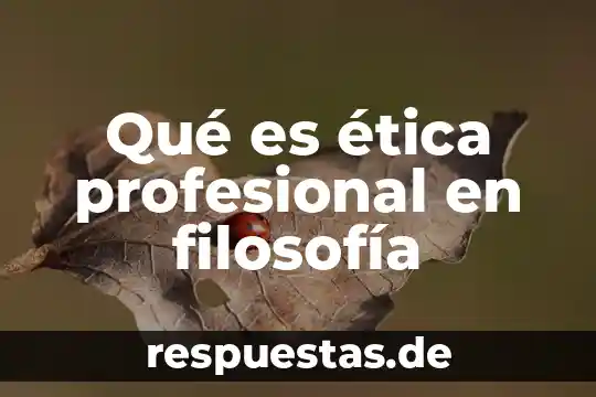 Qué es sociedad civil profesional concepto 6 Qué es ética profesional en filosofía