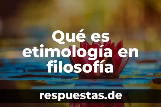 Qué es el artículo en etimología 5 Qué es etimología en filosofía