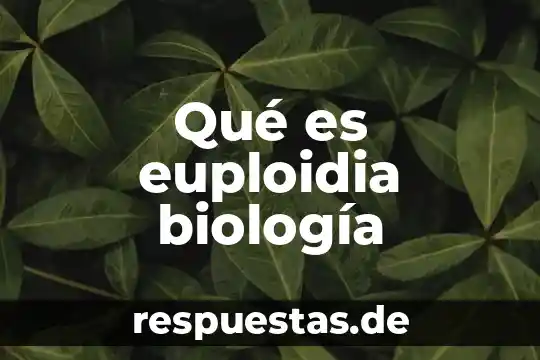 Que es disciplina en administracion concepto 8 Qu茅 es euploidia biolog铆a
