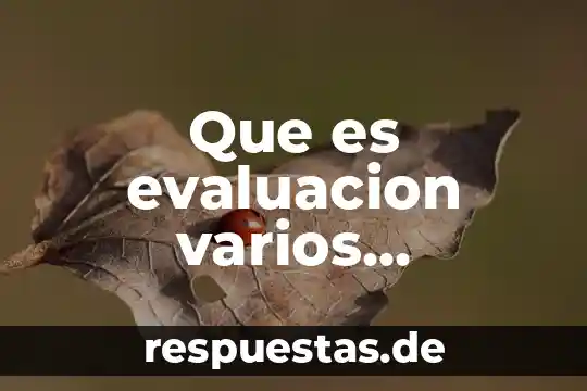 Qué es auditoria administrativa según varios autores 8 Que es evaluacion varios autoresconcepto de evaluacion