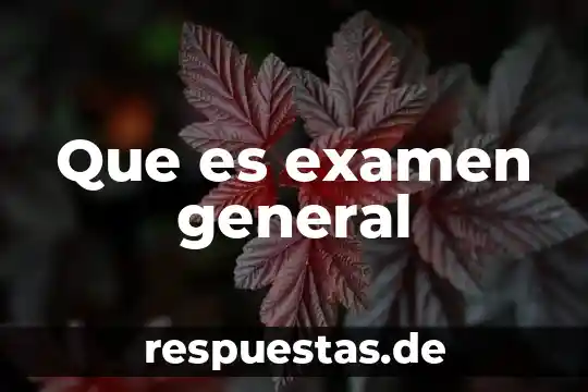 Conclusión de lo que es un balance general 4 Que es examen general