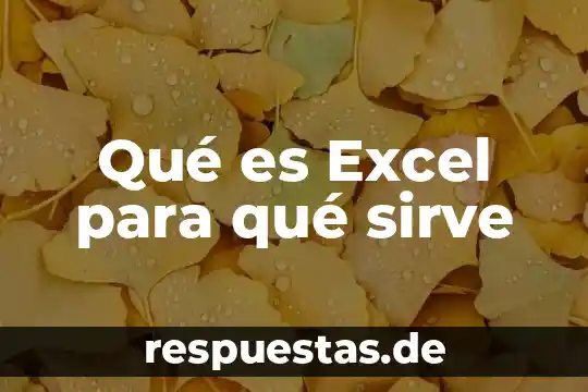 Que es el concepto de ayuwoki 3 Qué es Excel para qué sirve