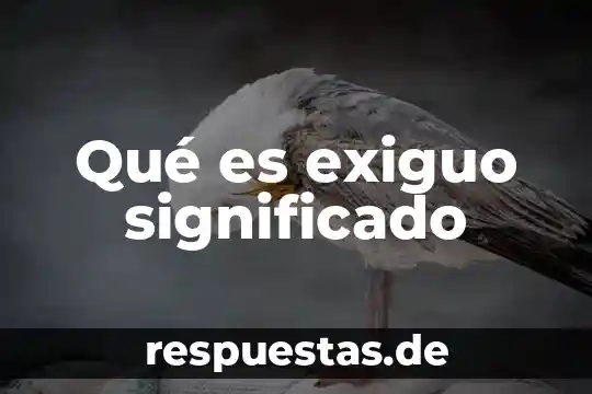 Que es turbios significado 3 Qué es exiguo significado