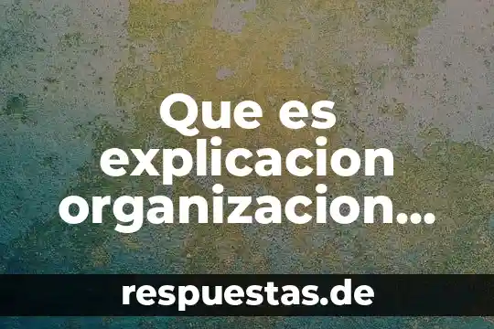Qué es una organización y una institución 8 Que es explicacion organizacion del pensamiento prezi