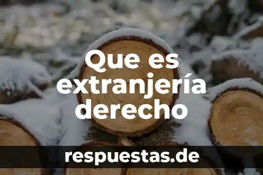Que es extranjería derecho