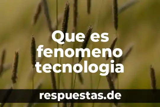 Que es resignificacion en tecnologia 7 Que es fenomeno tecnologia