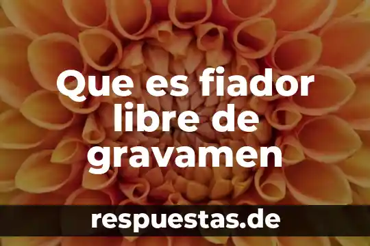 Que es principio de libre concurrencia y competencia 5 Que es fiador libre de gravamen