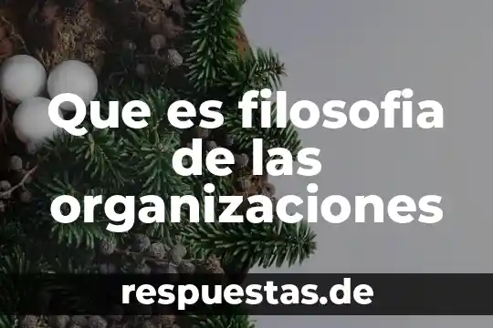 La filosofía: qué es y cómo se practica 3 Que es filosofia de las organizaciones