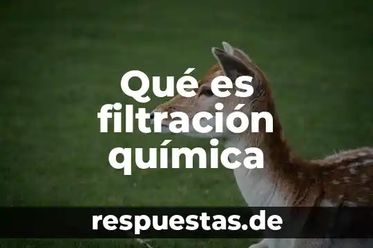 Que es la quimica en la sociedad 4 Qué es filtración química