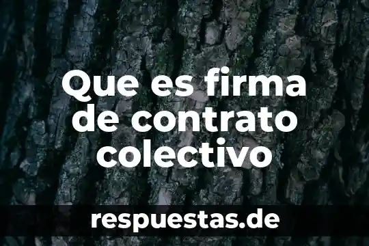 Por que es importante una firma una carta poder 7 Que es firma de contrato colectivo