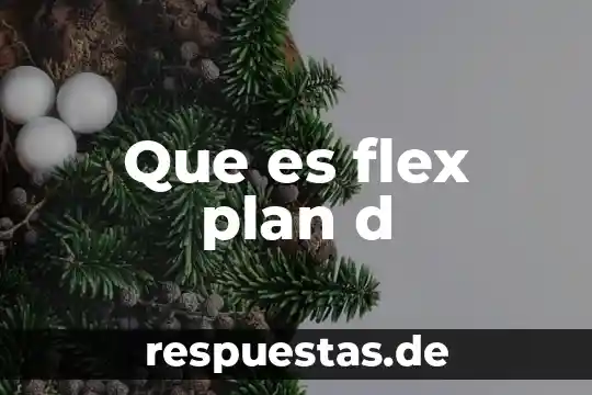 Que es el aprendizaje cooperativo jhonson d 4 Que es flex plan d