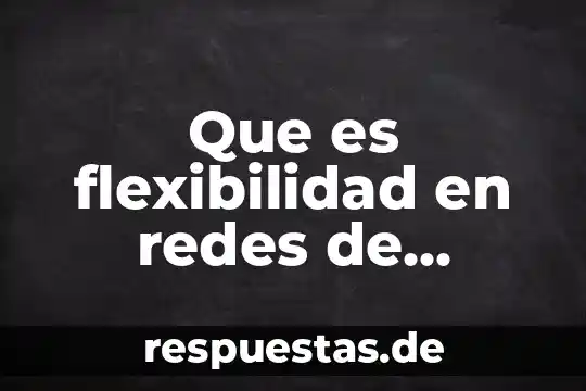 Que es flexibilidad en redes de computadoras